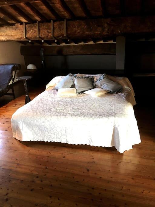Romantic Studio In The Historical Heart Of Padova Eksteriør billede